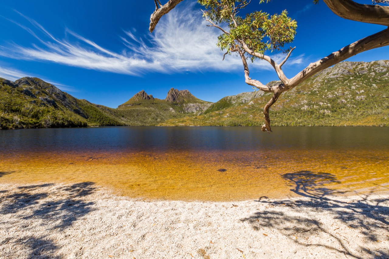 Tasmania na jednym obrazku – góry, jeziora i cudownie bujna roślinność.