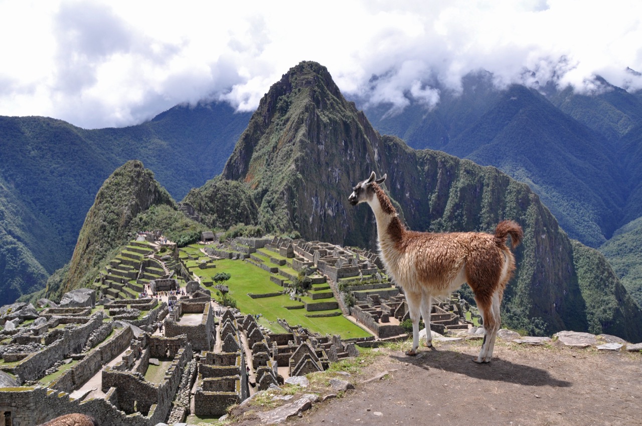 Machu Picchu – najsłynniejszy zabytek Peru.