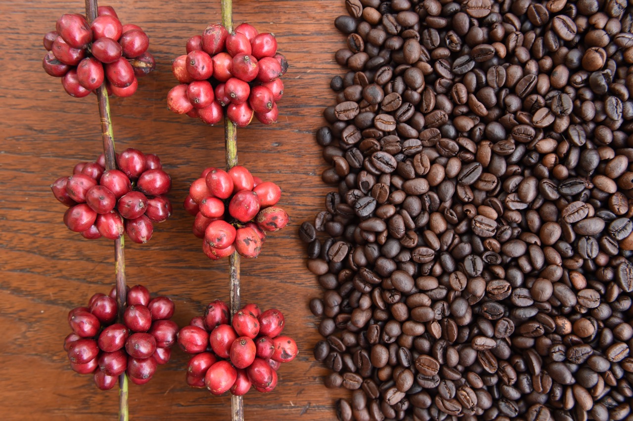Bukiet aromatów kawy zależy od dojrzałości ziaren, stopnia ich uprażenia i wielu innych czynników. To alchemia XXI wieku.