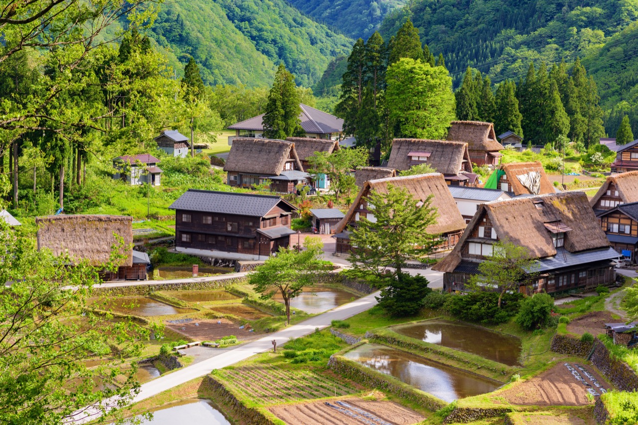 To jedno z niewielu, a do tego największe skupisko tradycyjnych japońskich chat minka.